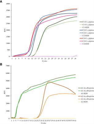 Sensitive and rapid detection of Culex pipiens and Aedes albopictus